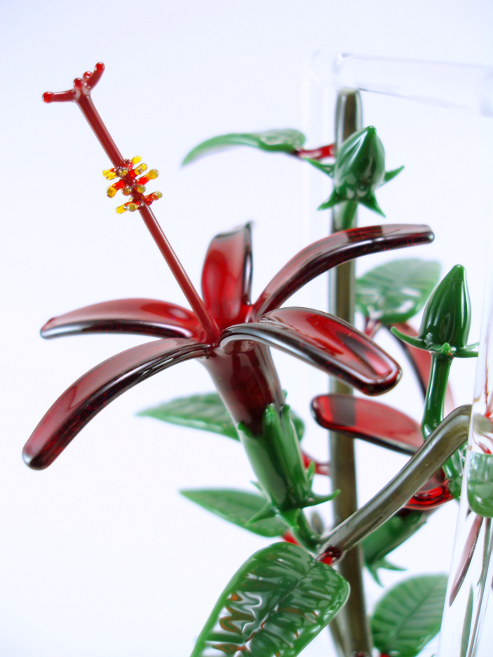 2 koki'o 'ula frame (4).jpg