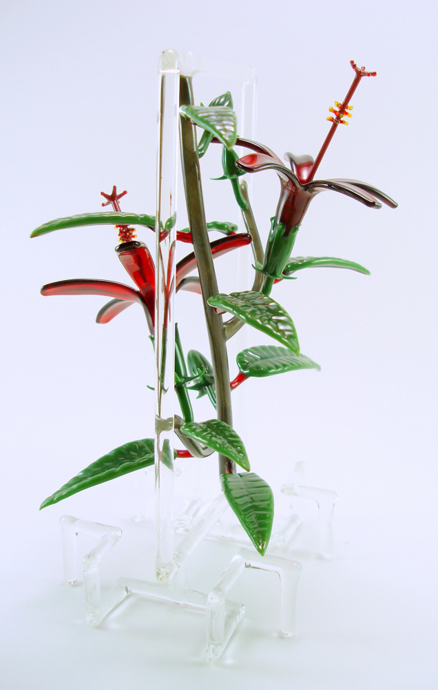 2 koki'o 'ula frame (5).jpg