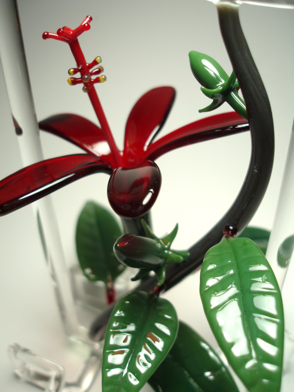 koki'o 'ula frame (2).jpg