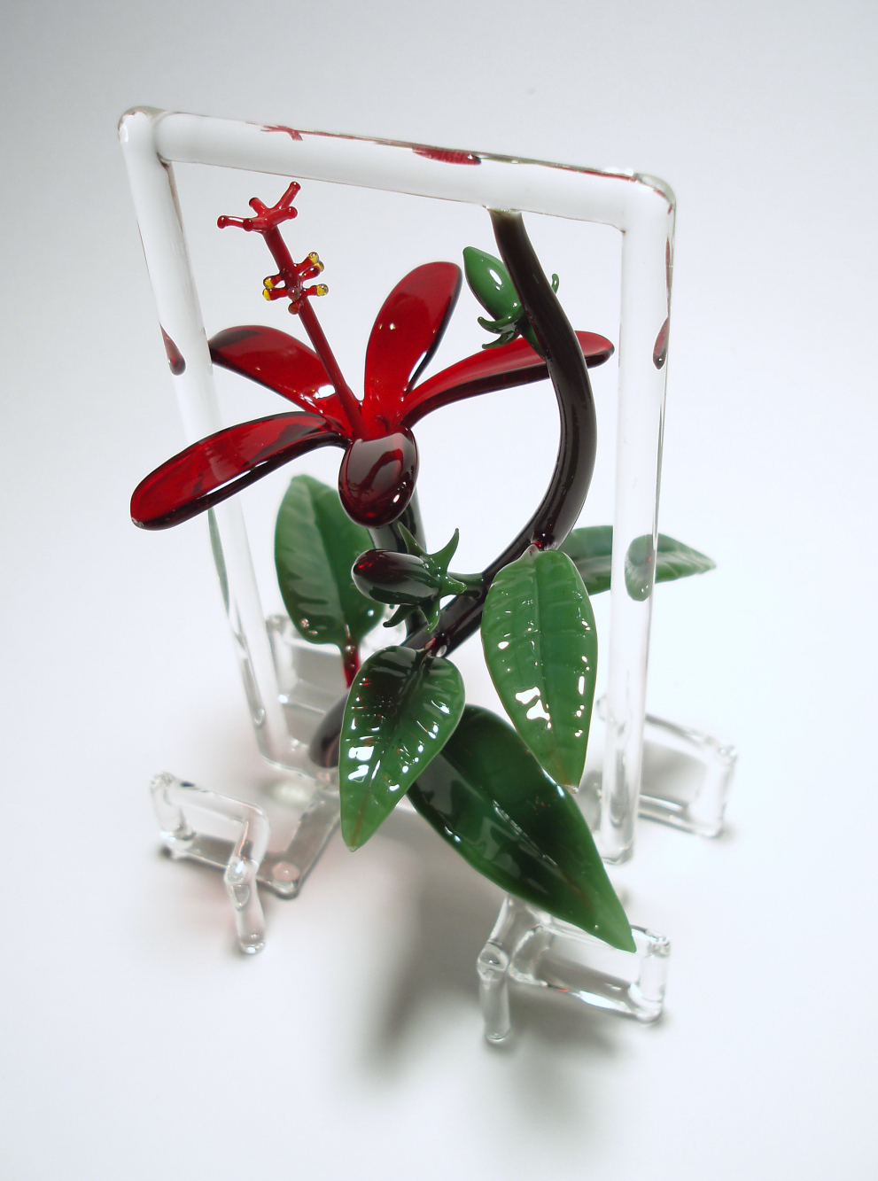 koki'o 'ula frame.jpg