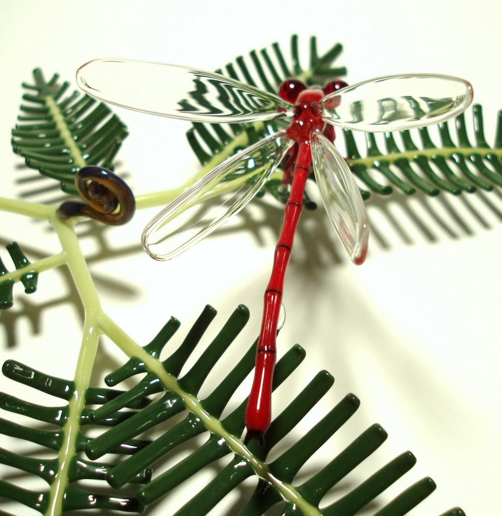 'uluhe & pinao 'ula  (2).jpg