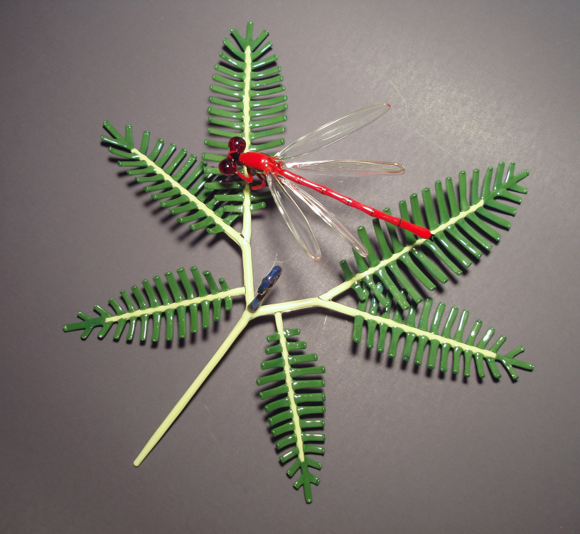 'uluhe & pinao 'ula .jpg