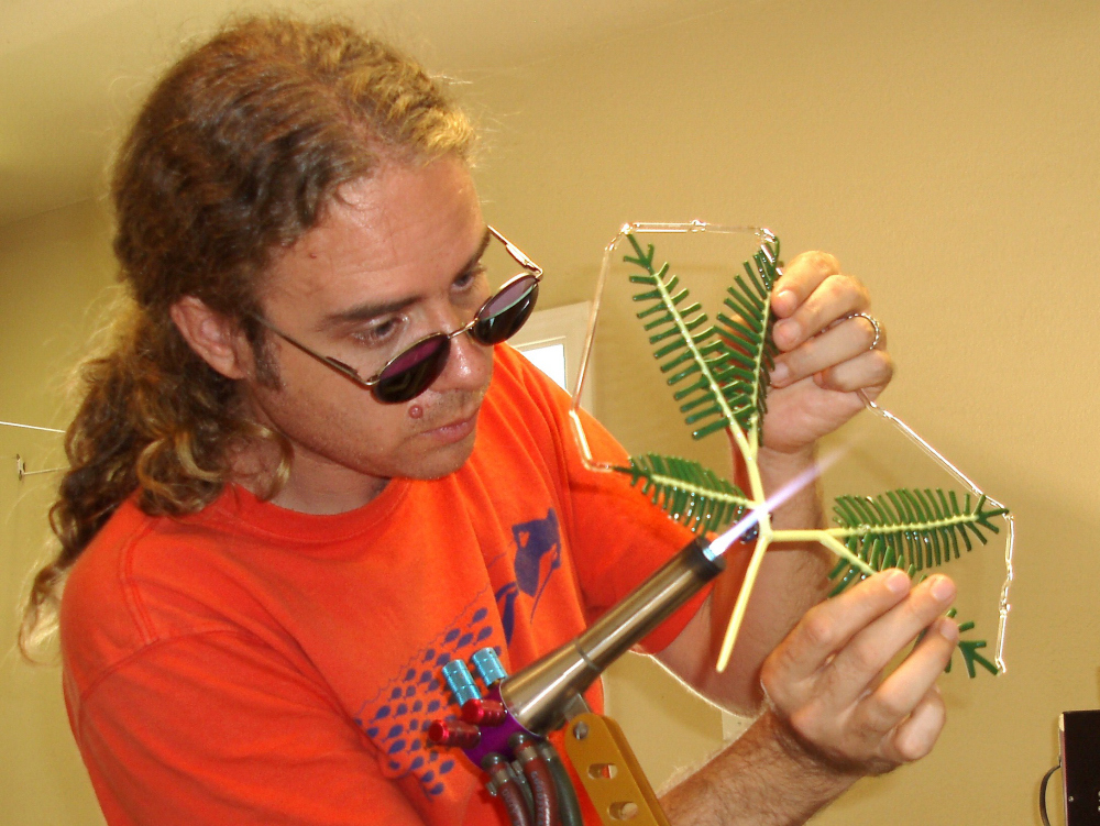 'uluhe & pinao 'ula  (5).jpg