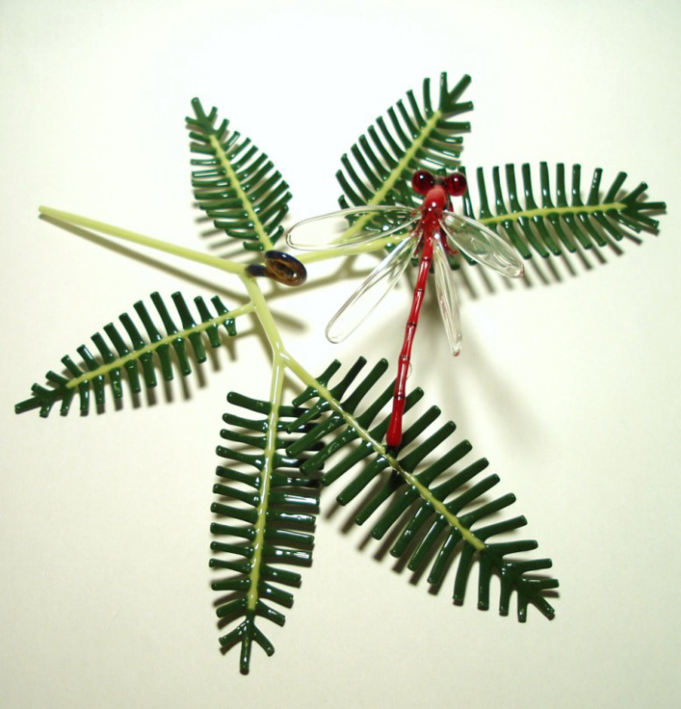 'uluhe & pinao 'ula  (6).jpg