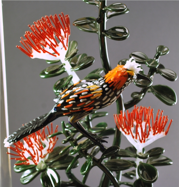 akohekohe093.jpg