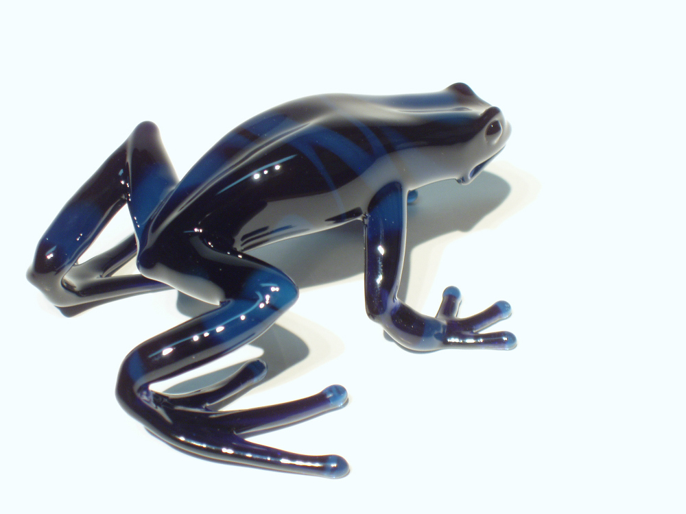 blue dart frog (6).jpg