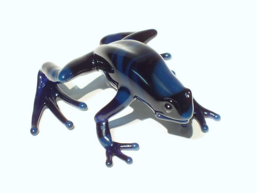 blue dart frog (5).jpg