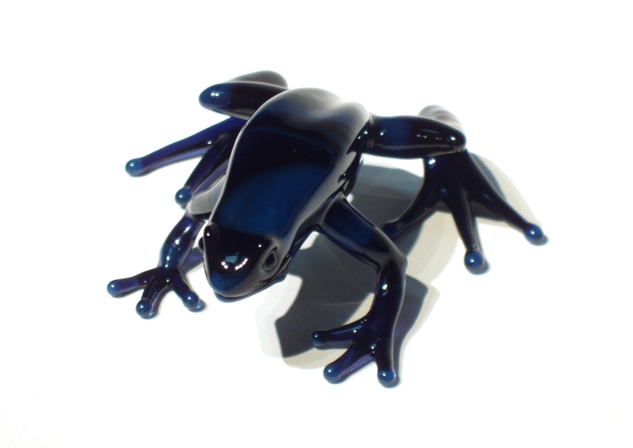 blue dart frog (1).jpg