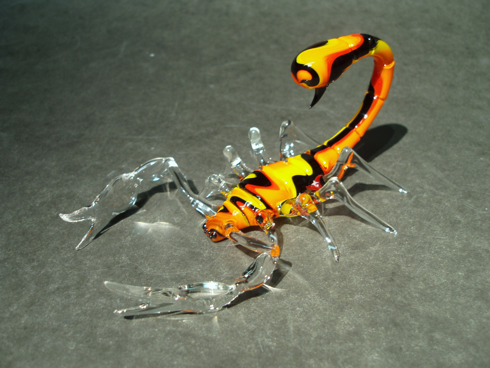 scorpion (7).jpg