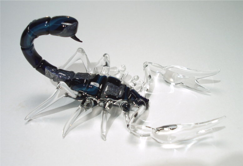 scorpion (3).jpg