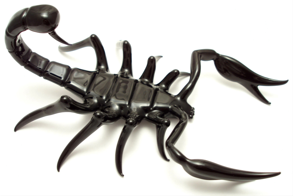 scorpion.jpg