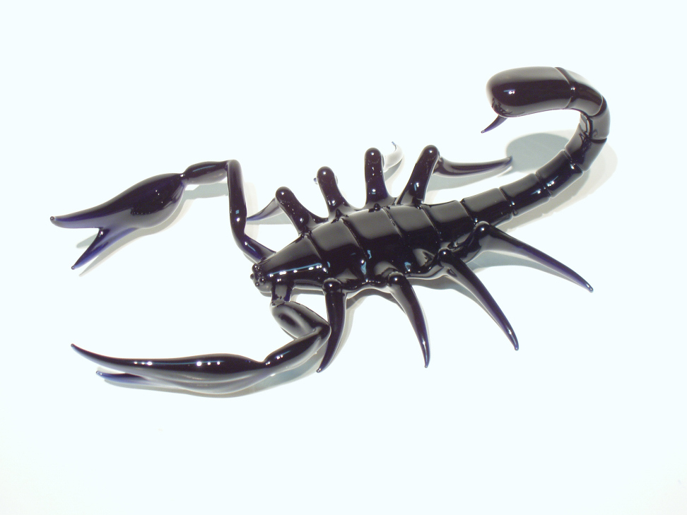 scorpion (6).jpg