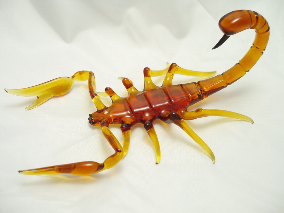 scorpion (5).jpg