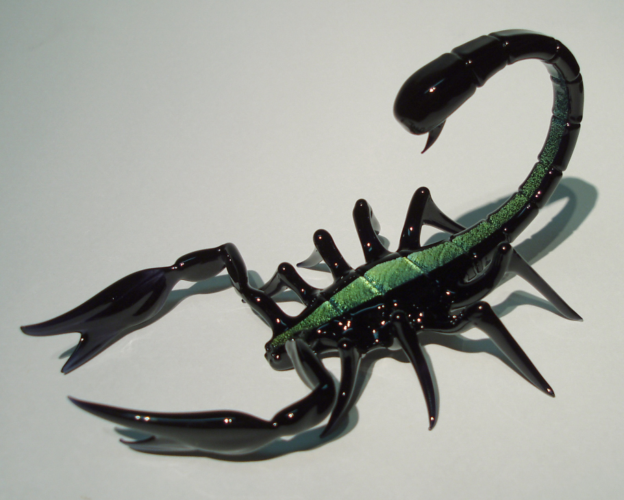 scorpion (8).jpg