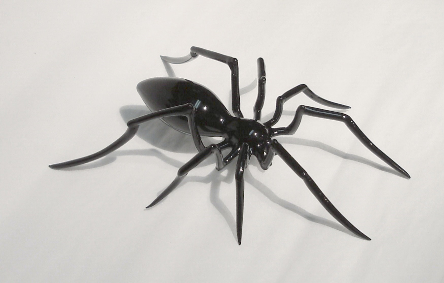 spider_001.jpg