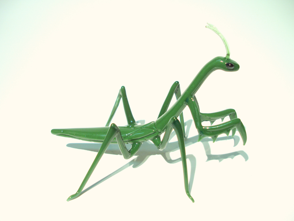 mantis.jpg