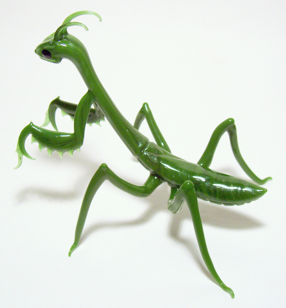 mantis (2).jpg