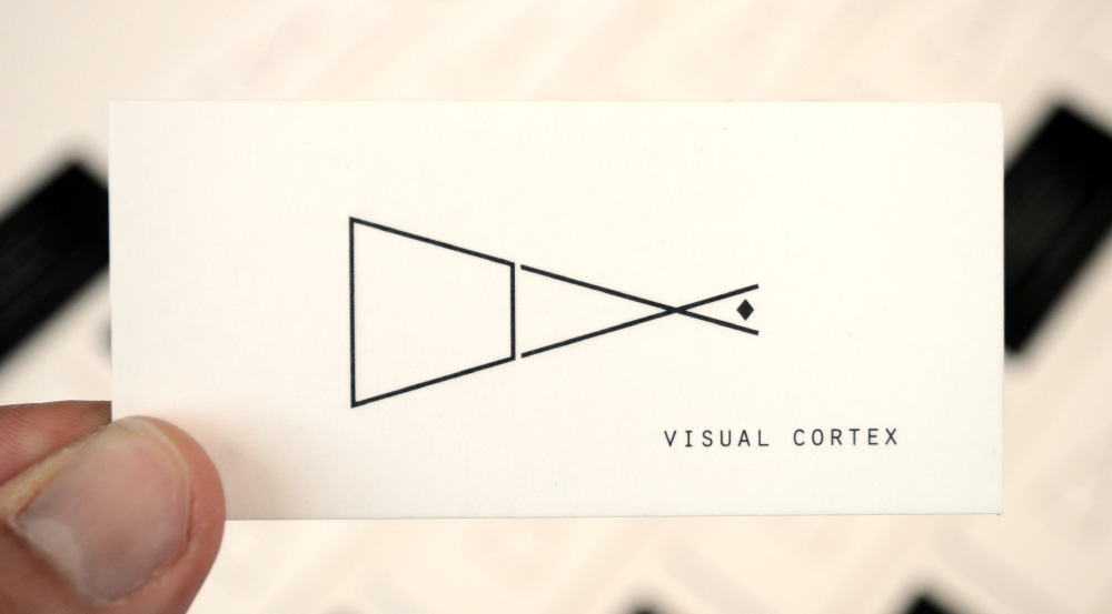 6. Visual Cortex