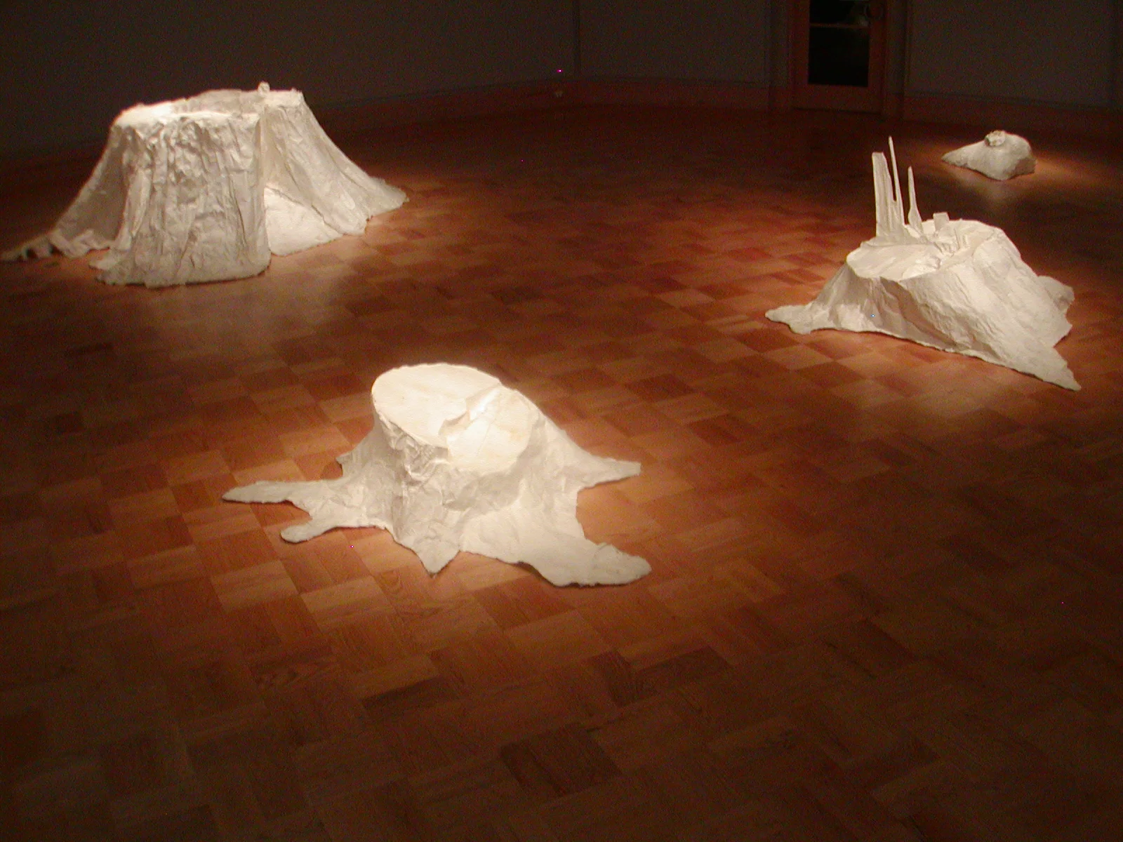10 Ghost trees and Crosscuts Installation view.JPG