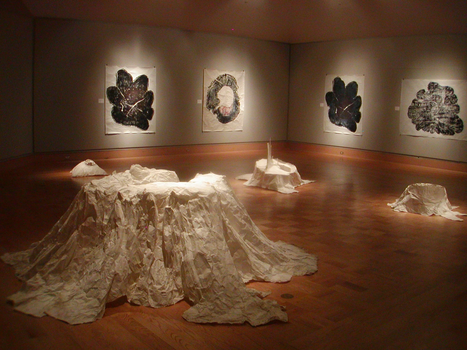 14 Ghost trees and Crosscuts Installation view.JPG