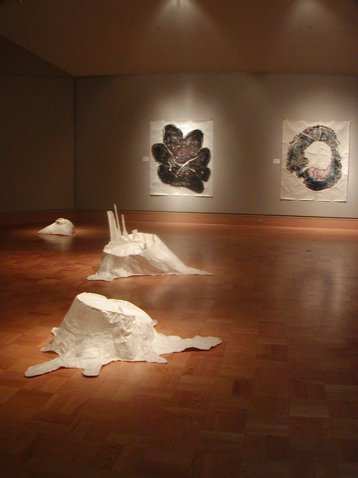 17 Ghost trees and Crosscuts Installation view.JPG