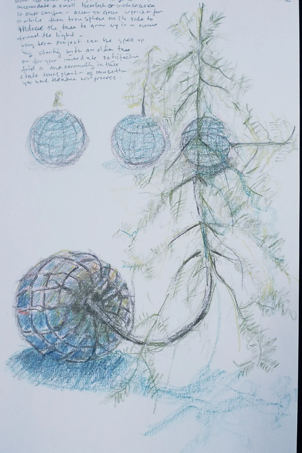 86 Sprouting Sphere drawing progression (2004)-034.JPG