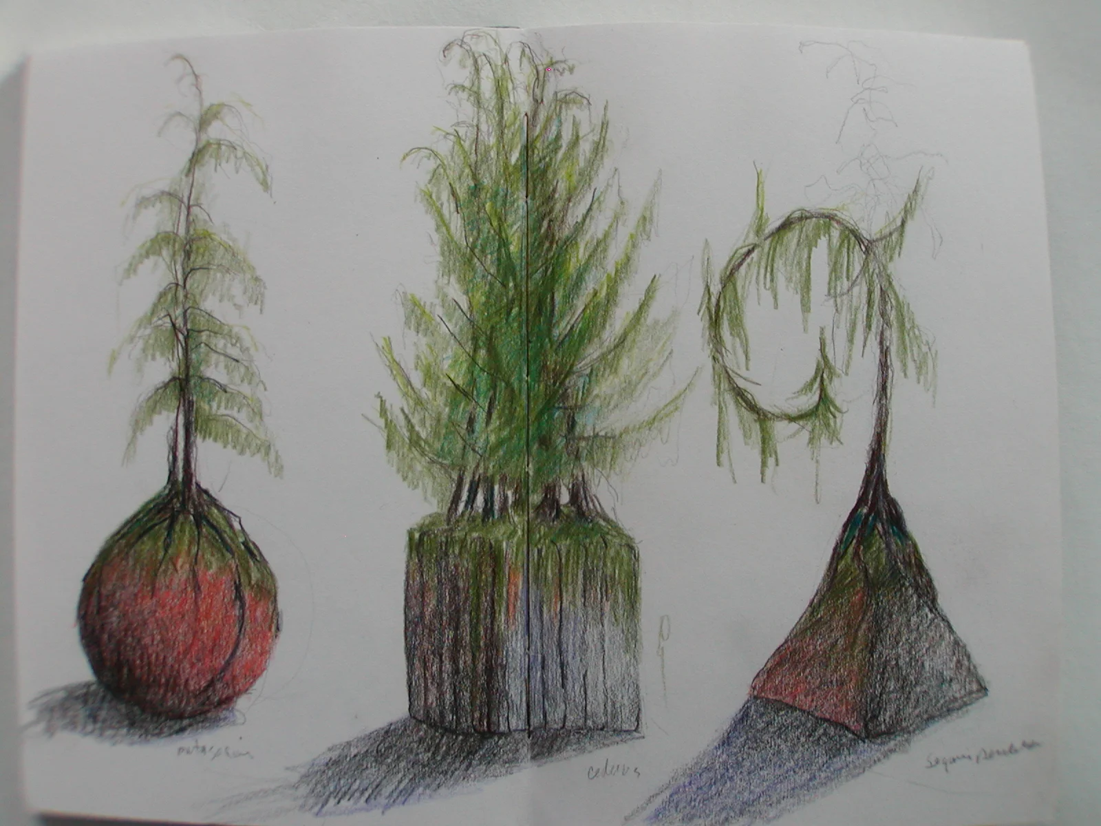 88 Zenga Sprouting Sphere, Cube & Pyramid Idea Drawing 2005_ 028.jpg