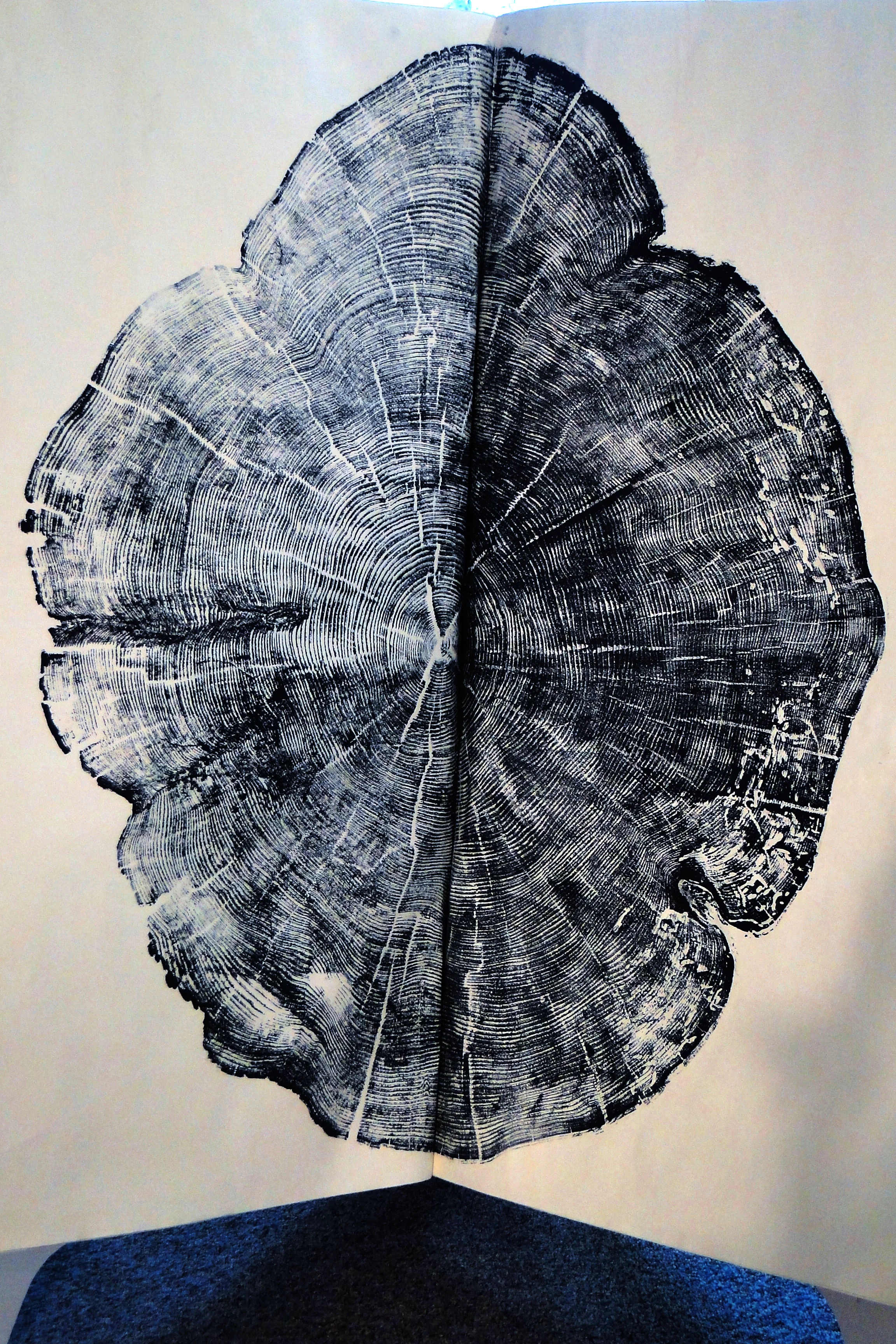 13 Caudex Spruce detail.jpg
