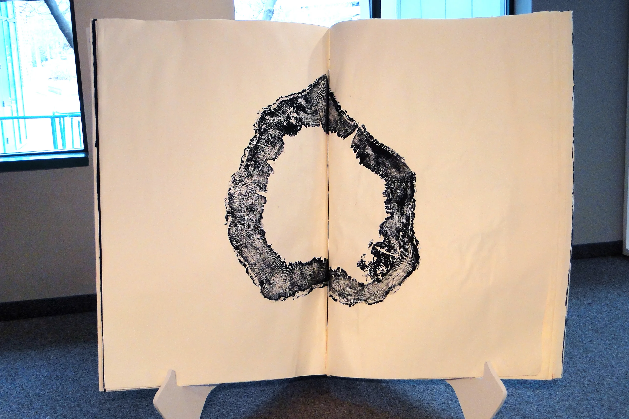 14 Iwinski Caudex Open to Old Oak.jpg