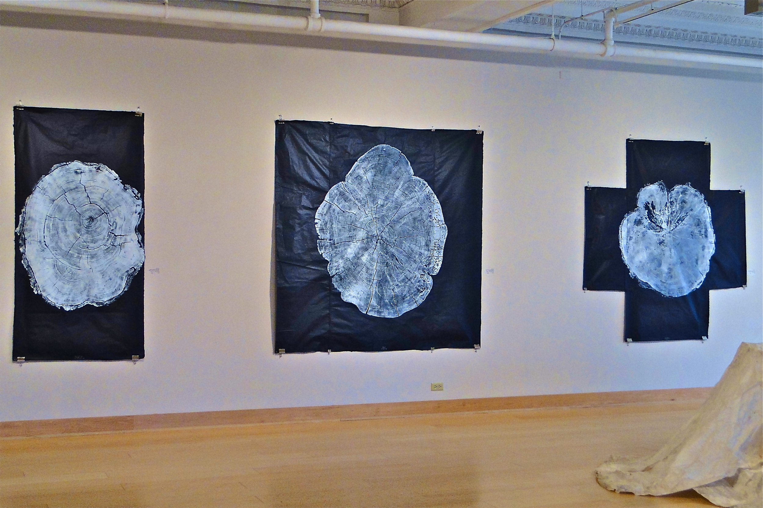 2 Indigpo ghost series.JPG