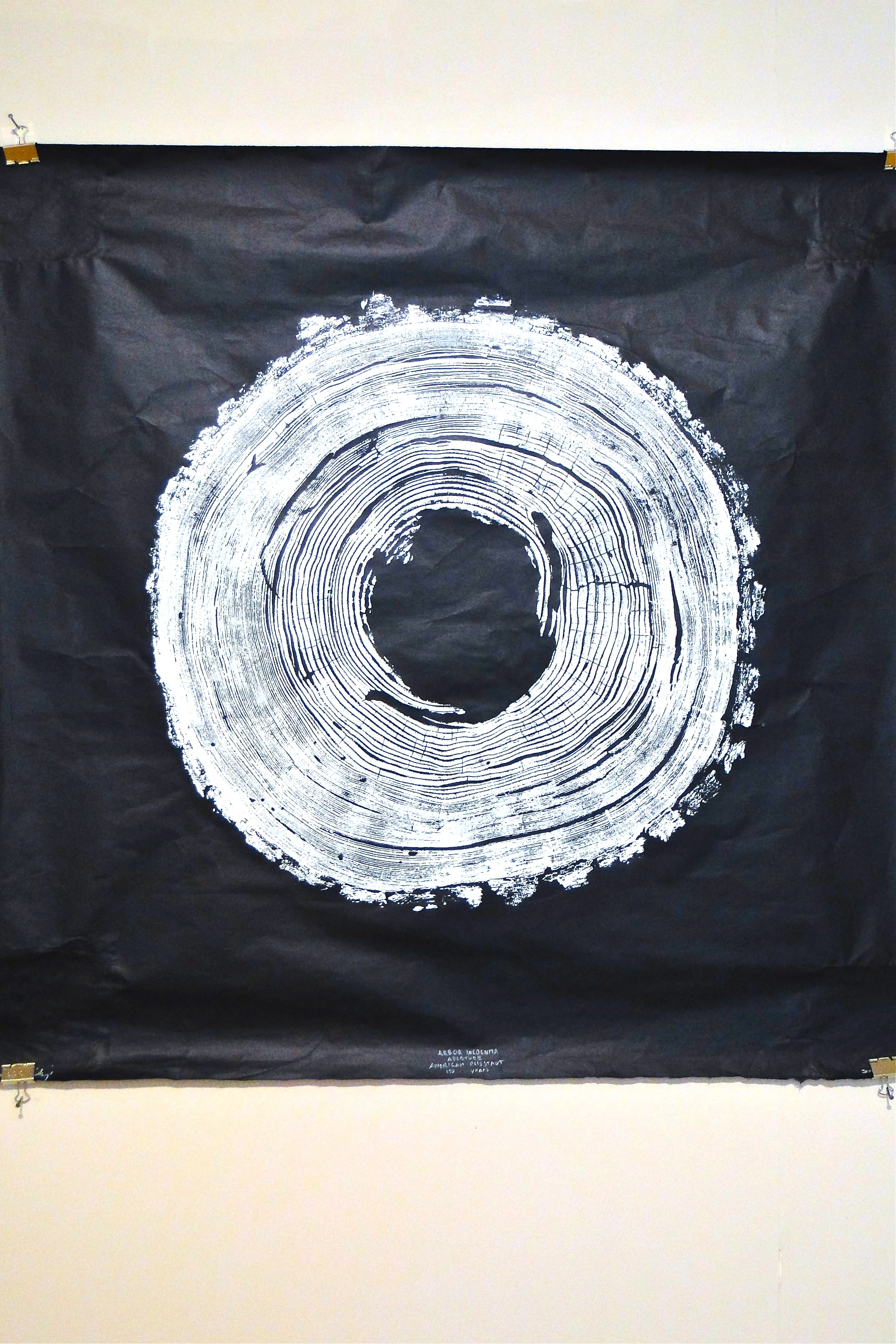 6 Aperture, Arbor Incognita.jpg