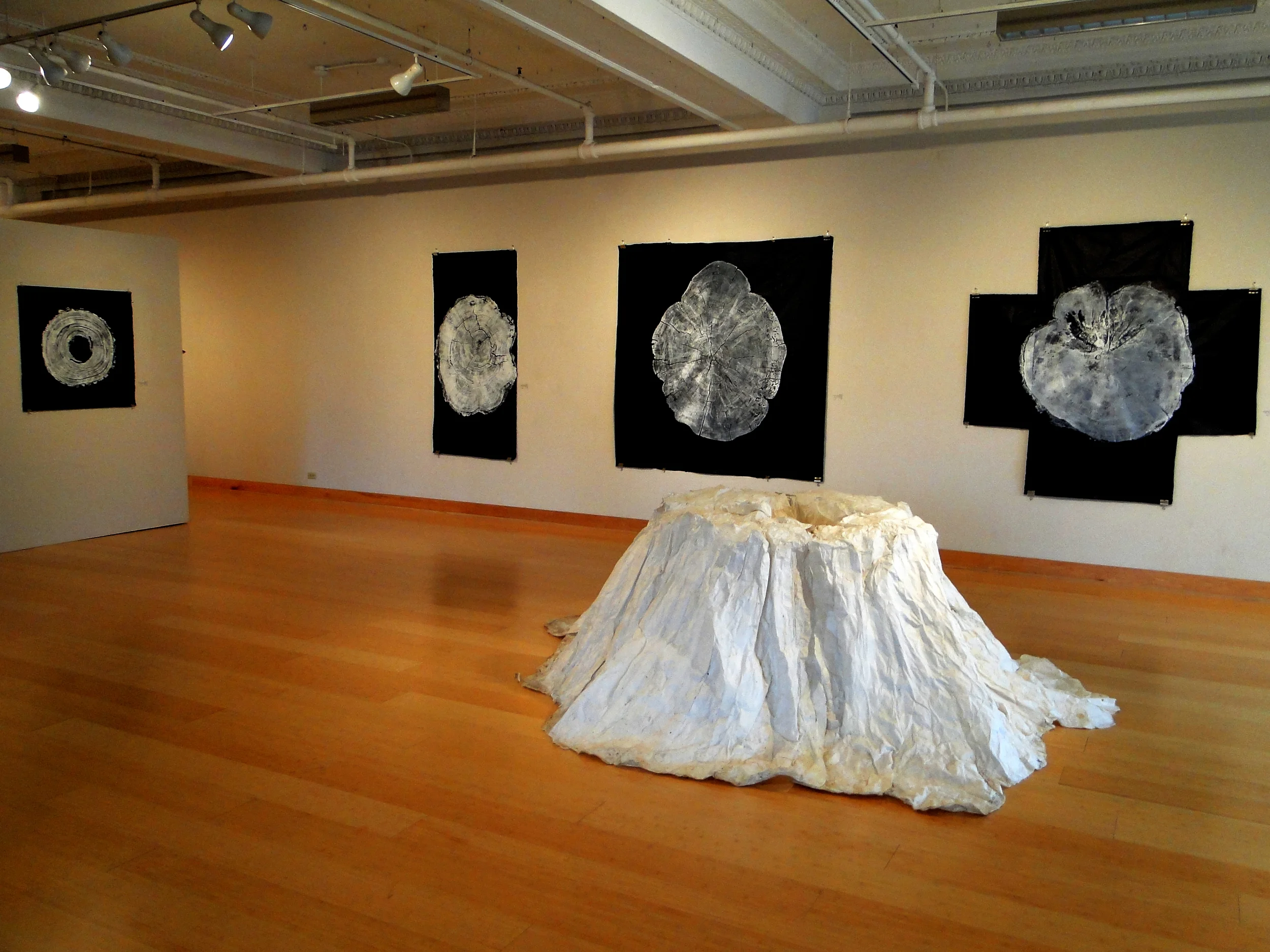 Installation view Imprints Exhibition.jpg