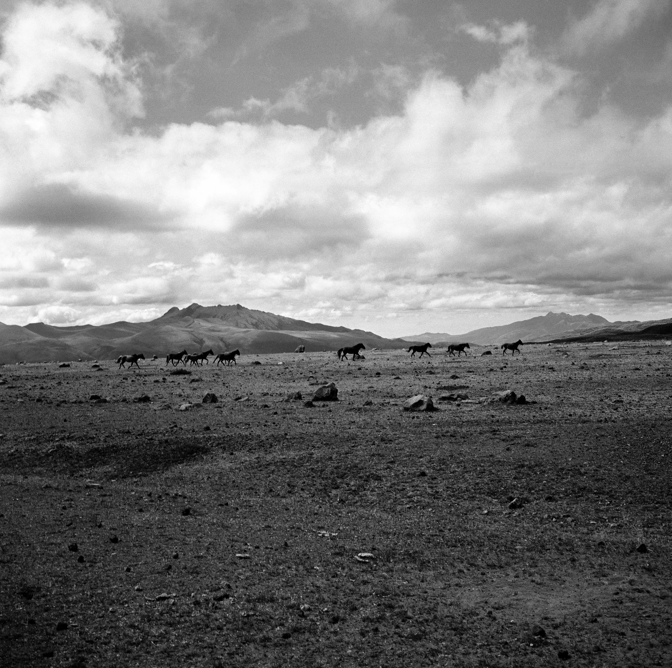 cota paxi 007retouch.jpg