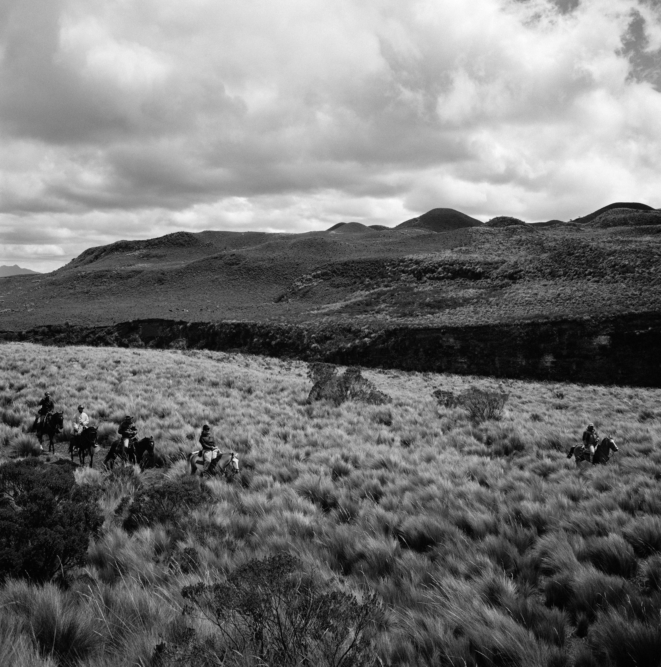 cota paxi3 retouch.jpg