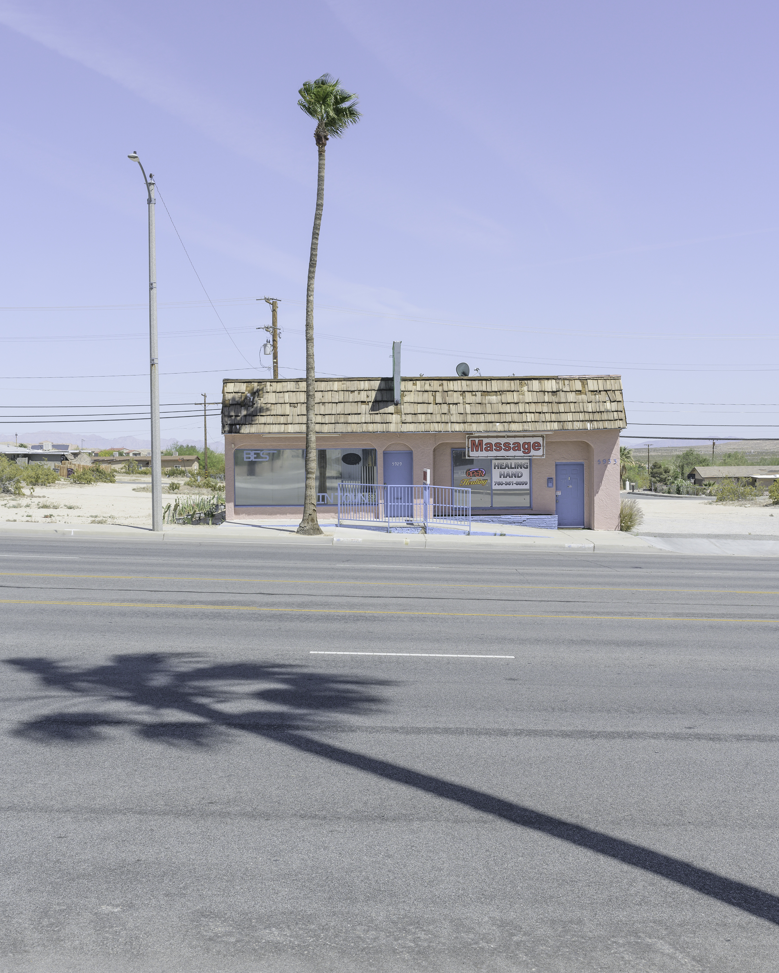 21Palms1.jpg
