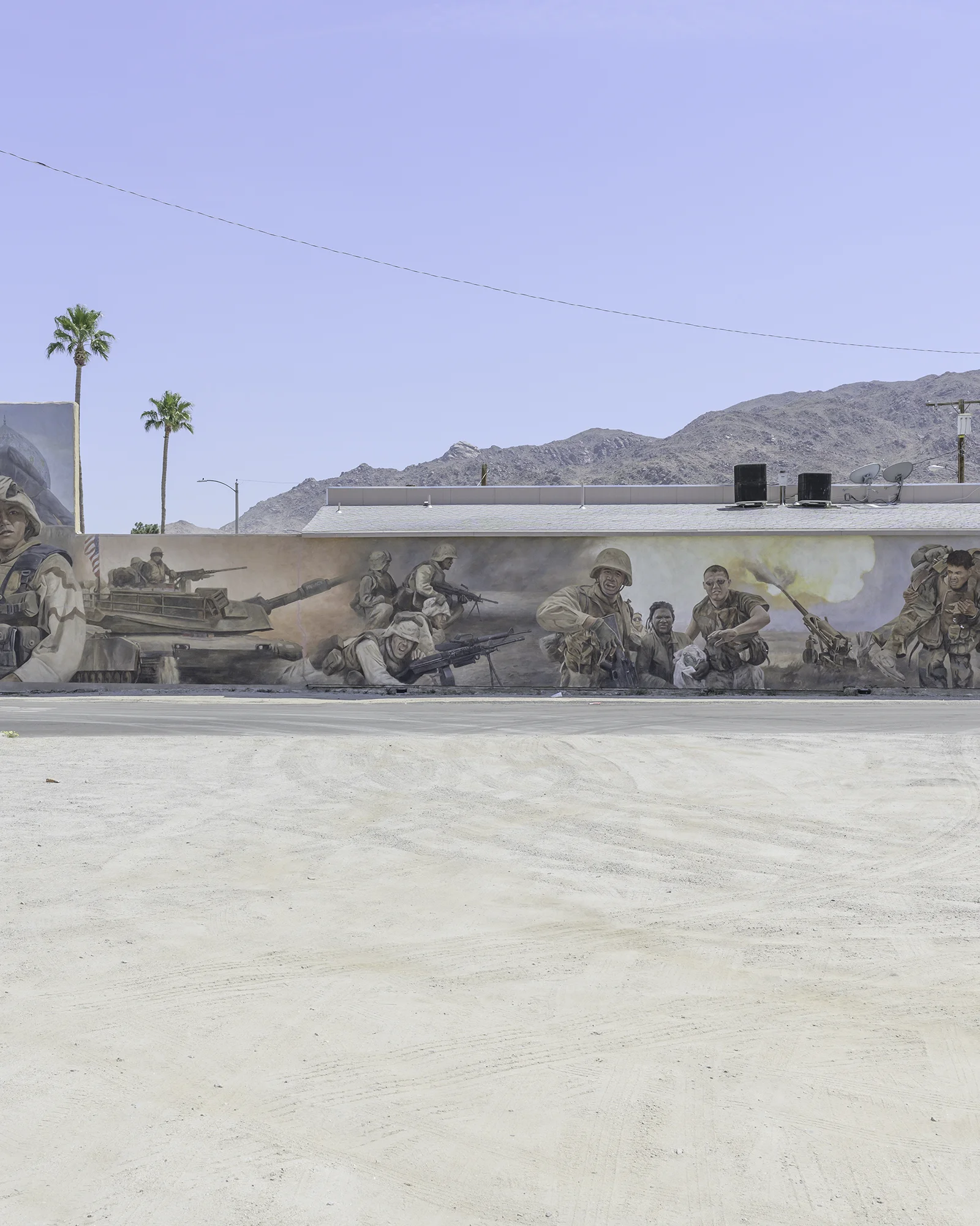 21Palms3.jpg