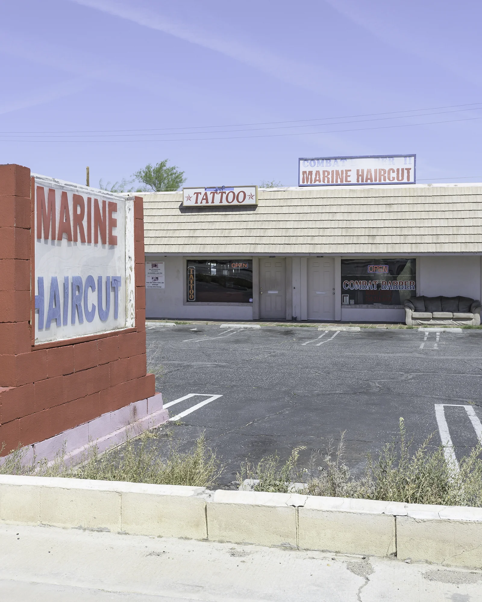 21Palms6.jpg