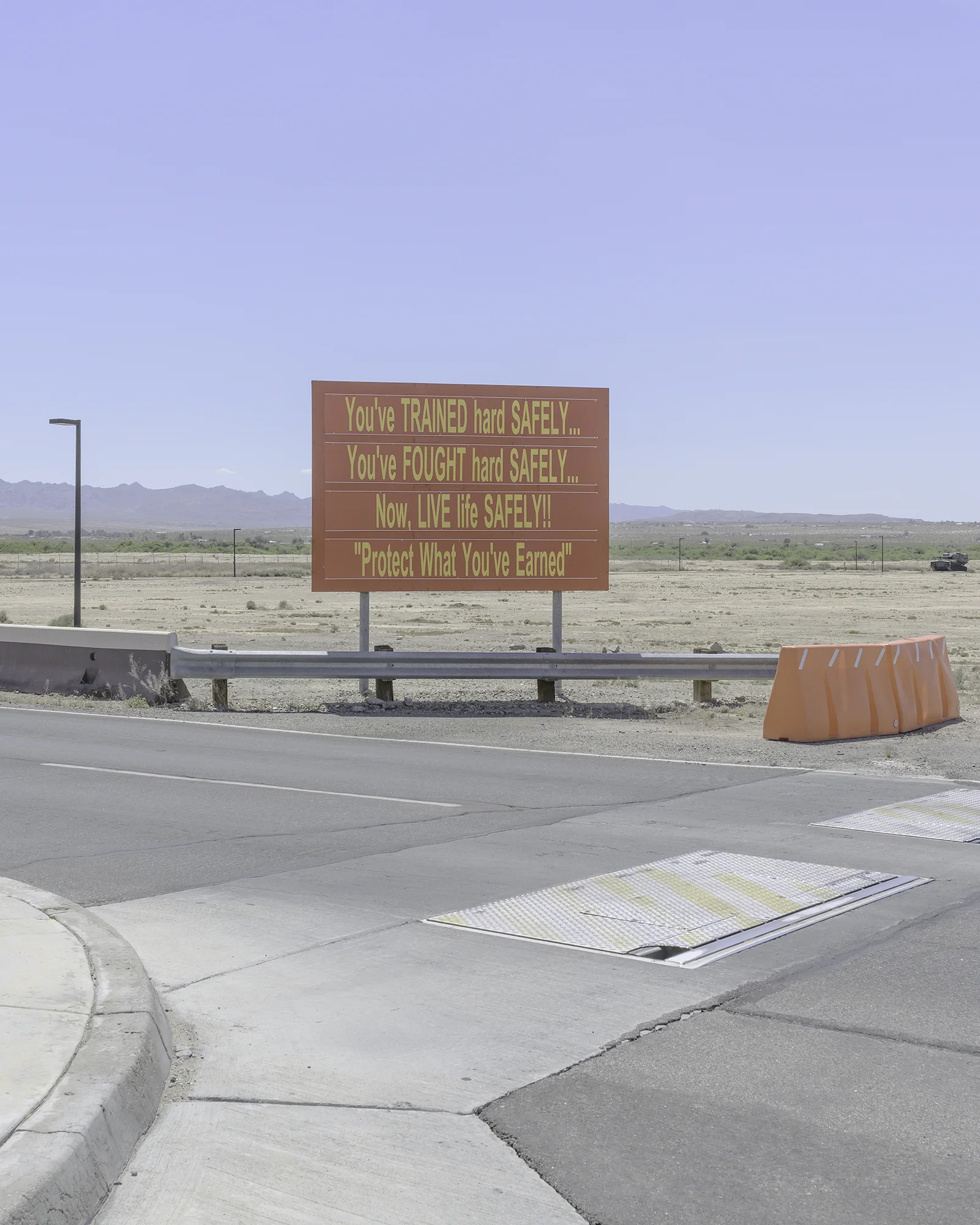 21Palms5.jpg