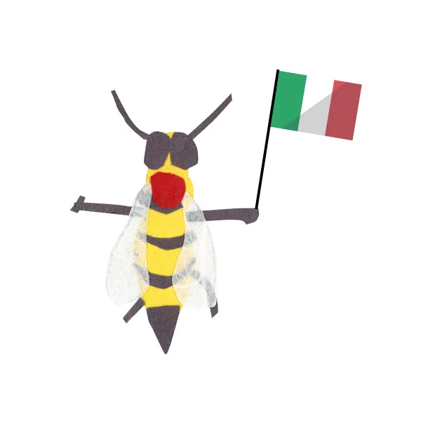 thinkbee.nationality (1).JPG