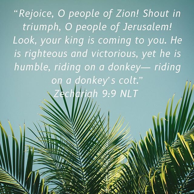 &ldquo;Hosanna in the highest!&rdquo;