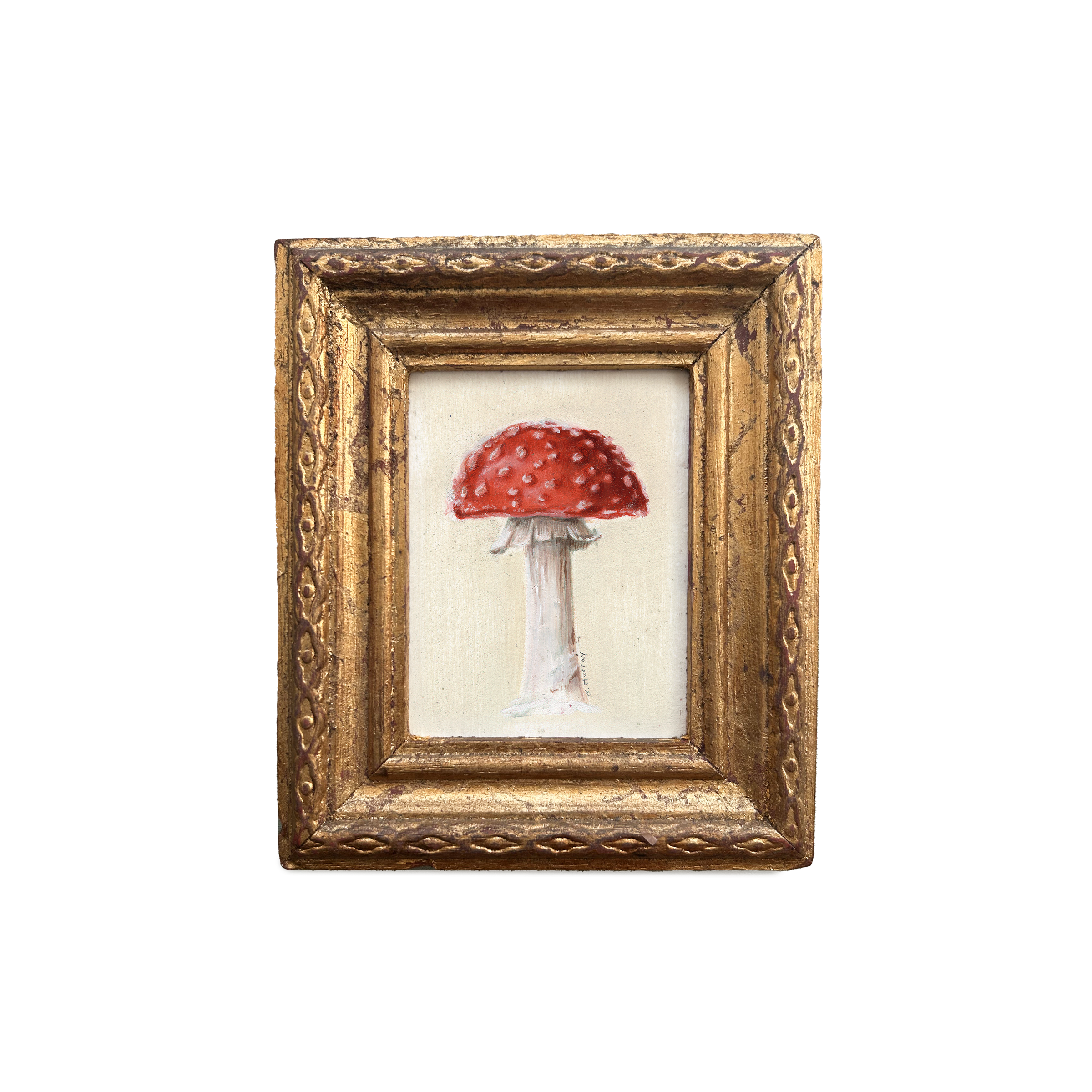 mushroom4b.png