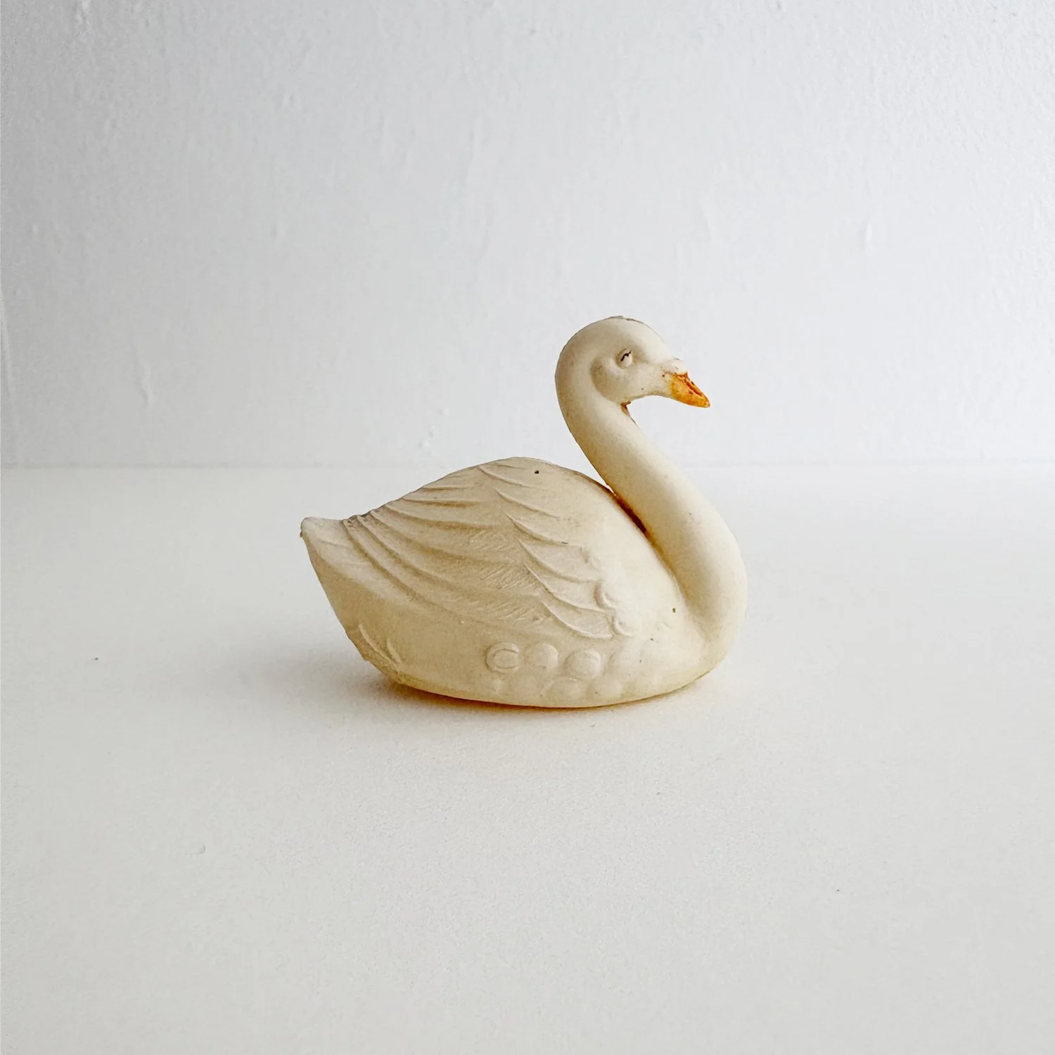 swans4.jpg