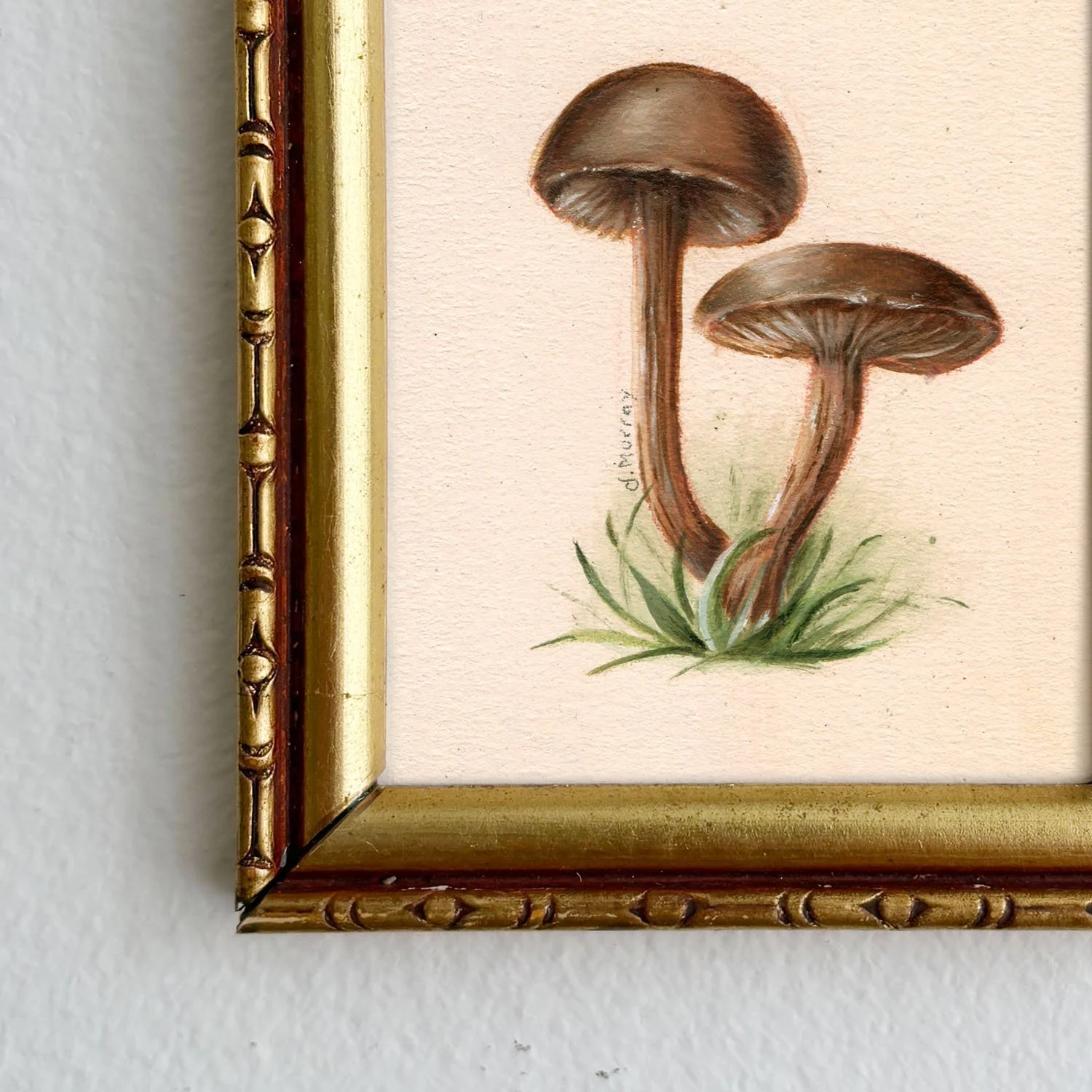 PMushroom5-1.jpg