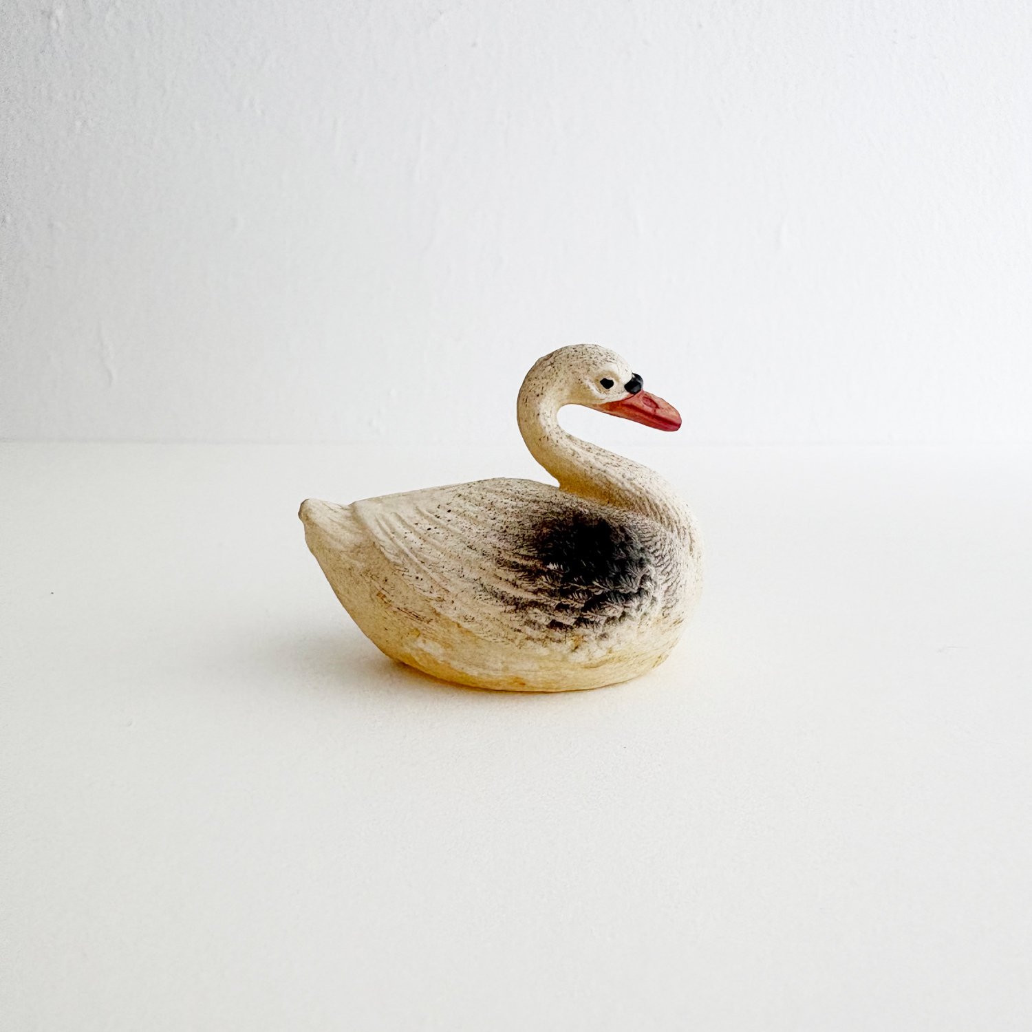 swans3.jpg