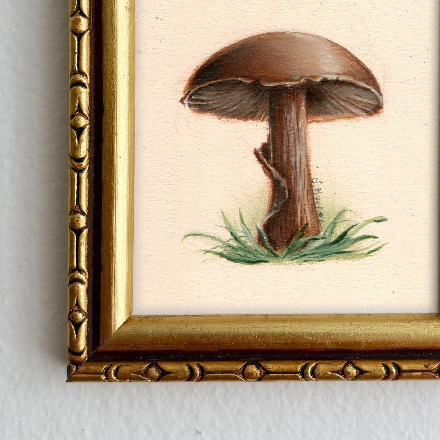 PMushroom4-1.jpg