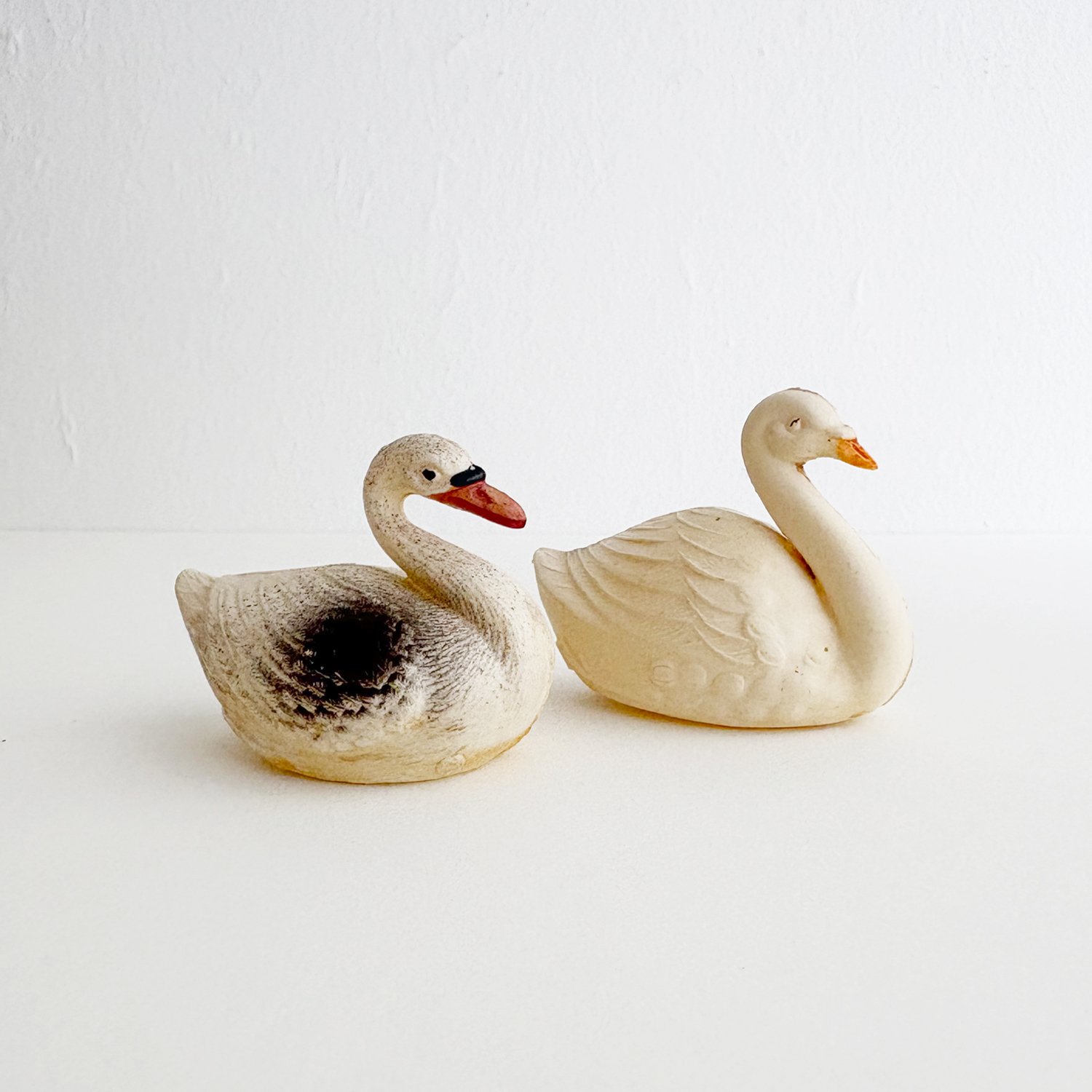 swans2.jpg