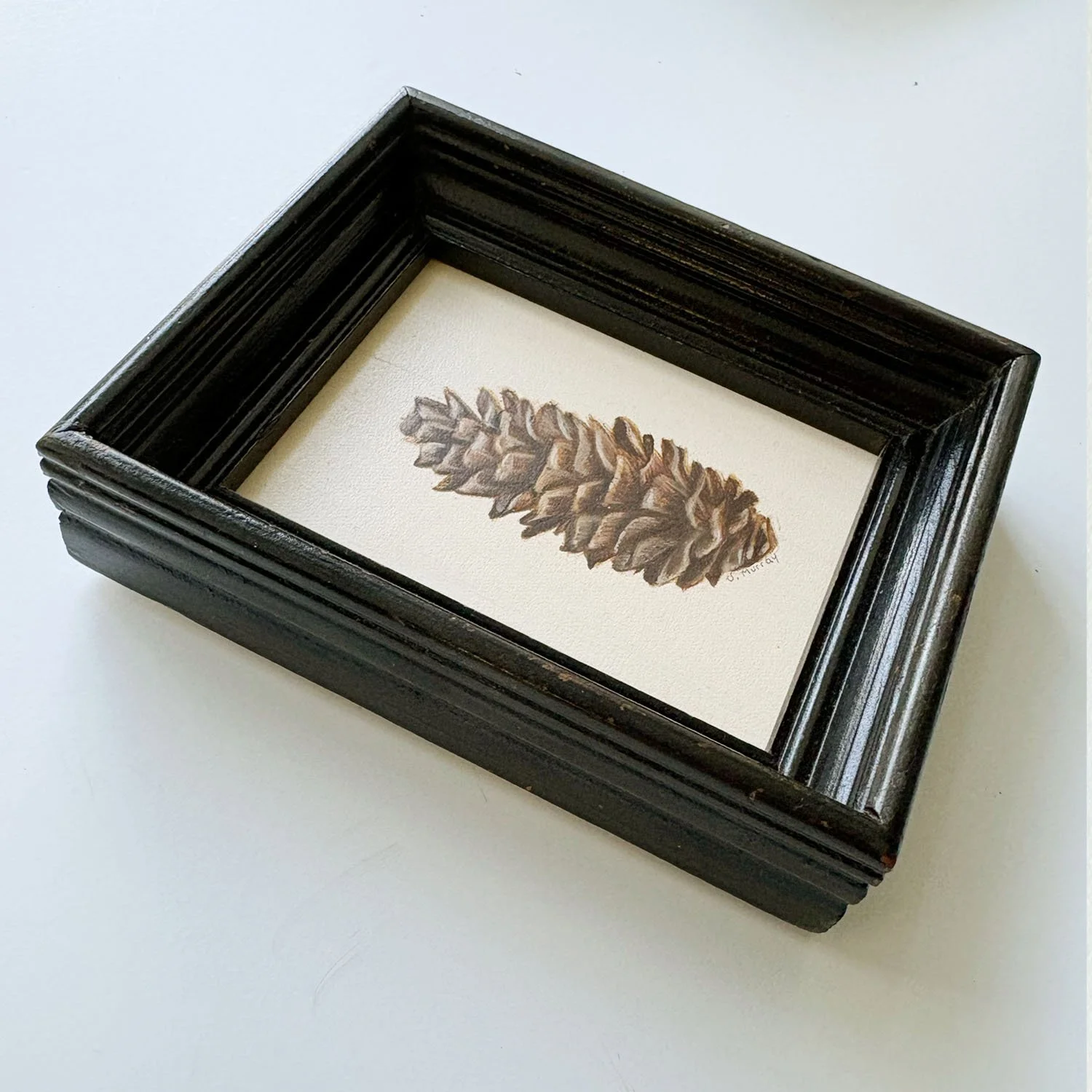 pinecone2.jpg