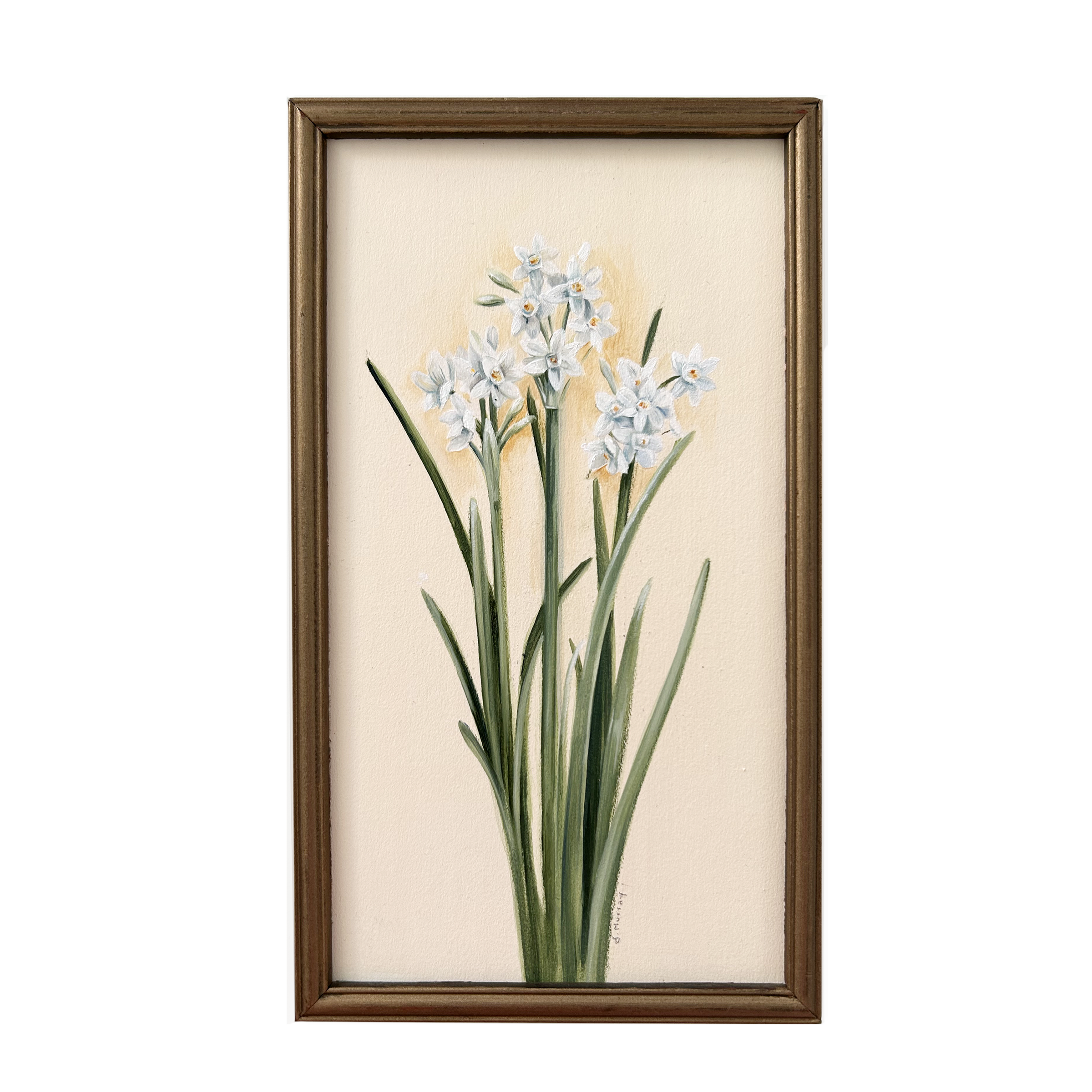 paperwhites.png
