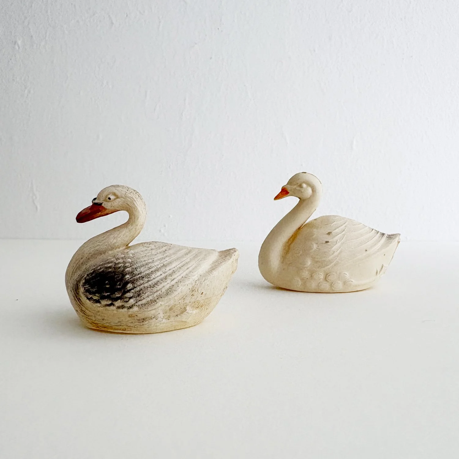 swans1.jpg