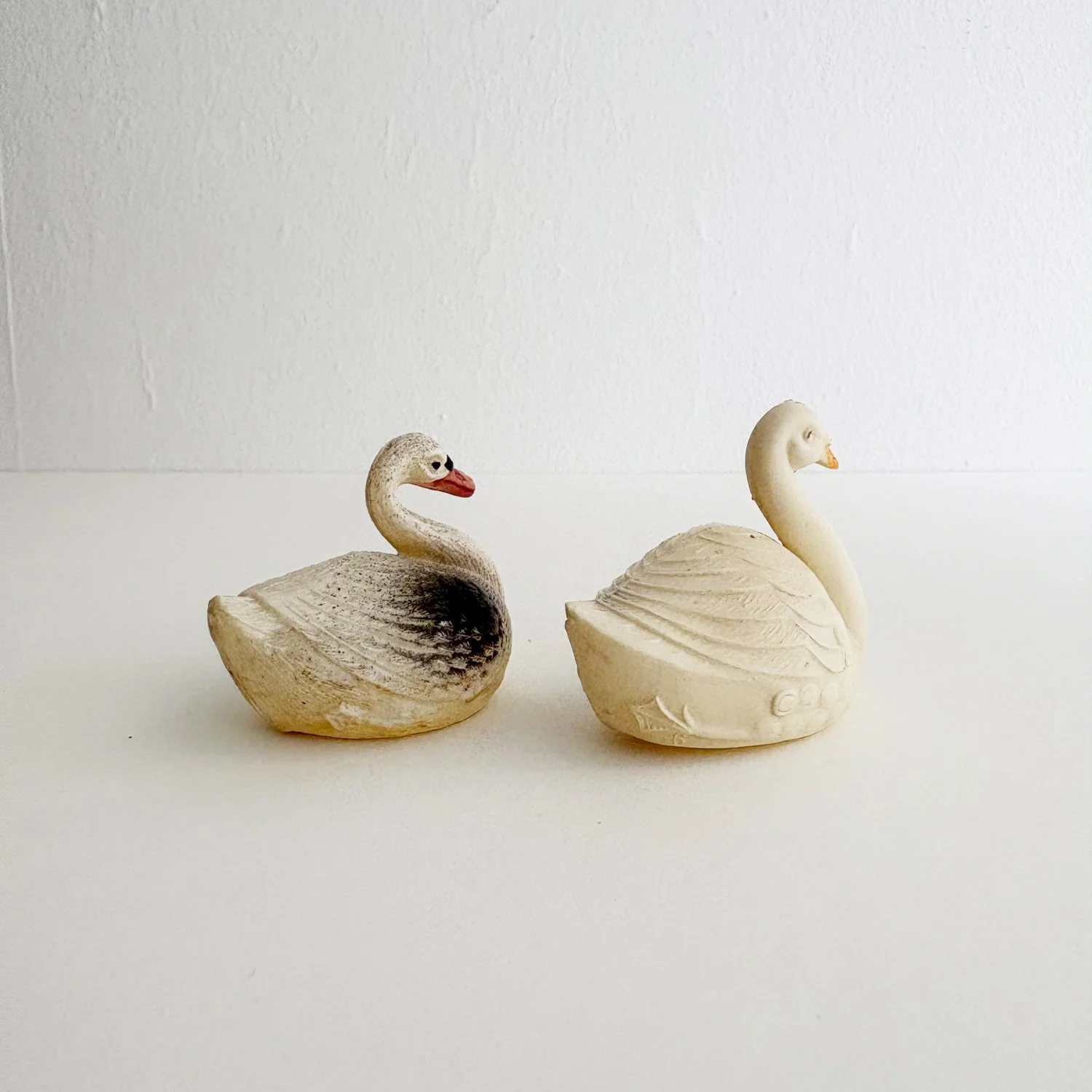 swans5.jpg